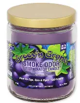 SMOKE ODOR GROOV'N GRAPE 13oz