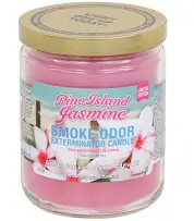 SMOKE ODOR PINE ISLAND JASMINE 13oz