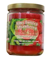 SMOKE ODOR KIWI TWISTED STRAWBERRY 13oz