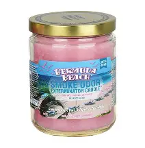 SMOKE ODOR BERMUDA BEACH 13oz