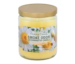 SMOKE ODOR PICKING DAISIES 13oz